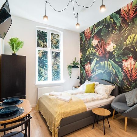 Homely, Little Studio, Top Location. Mala Kawalerka. Szczecin Buitenkant foto